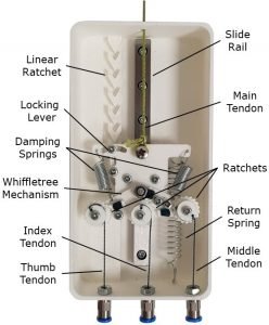 Differential mechanism — description