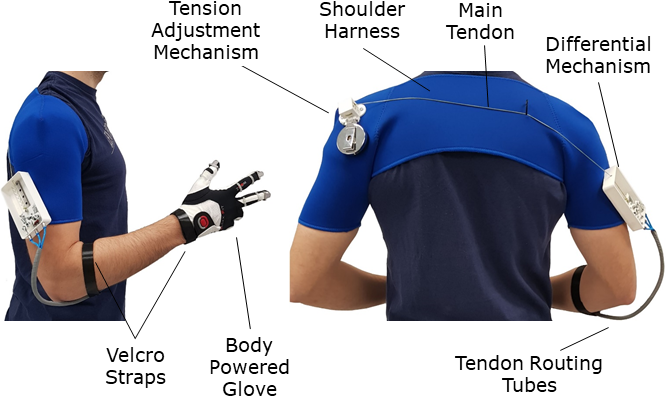 Exoskeleton Gloves
